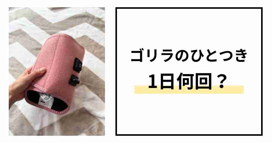ゴリラのひとつき一日何回？
