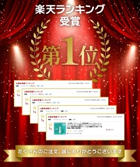 ドルツジェットウォッシャー楽天市場1位